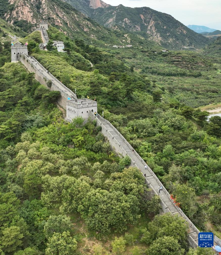 波克捕鱼为什么关闭了赠送功能？